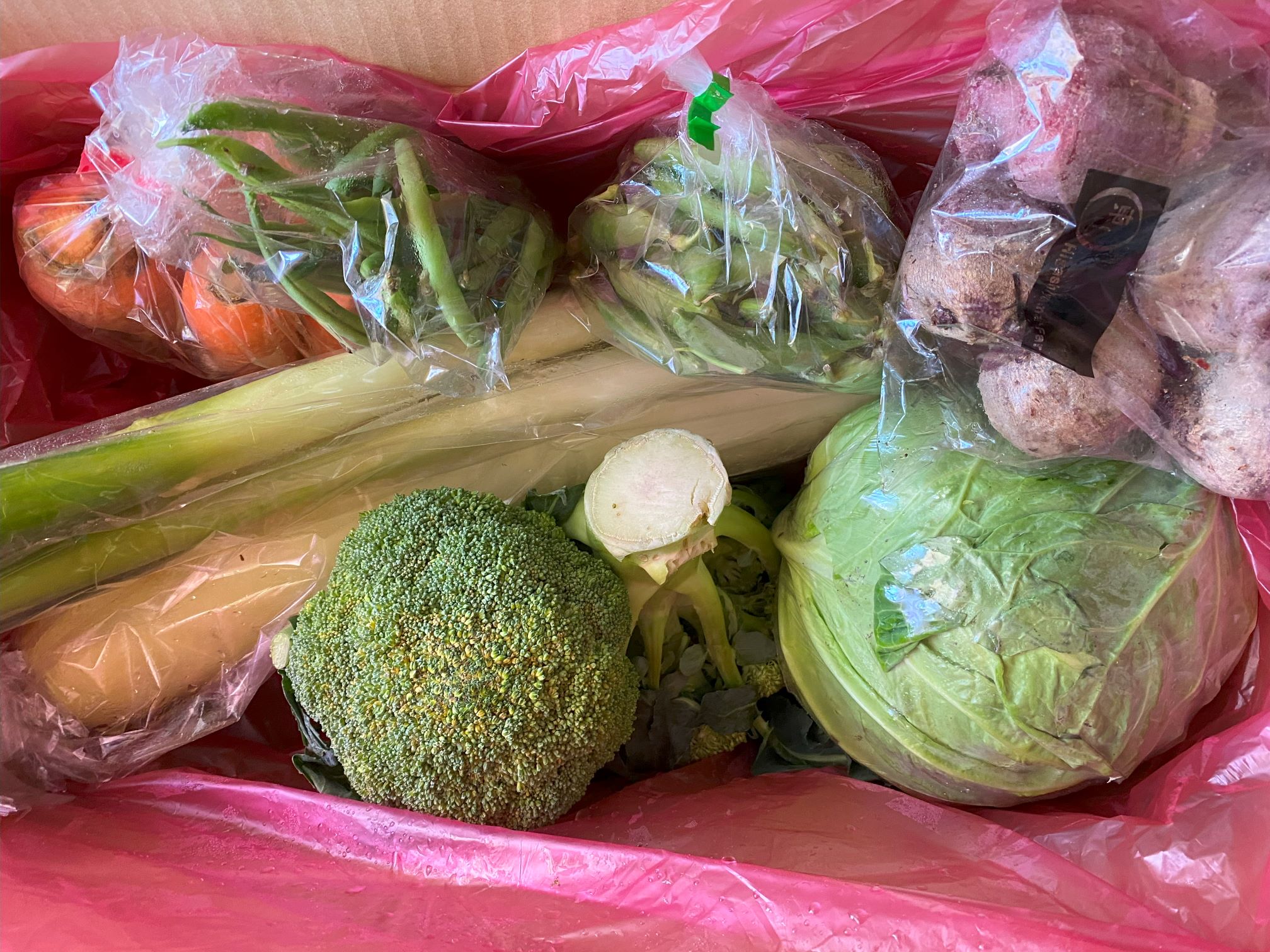 ≪東山ベジフル≫旬のお野菜詰め合わせ Sサイズ