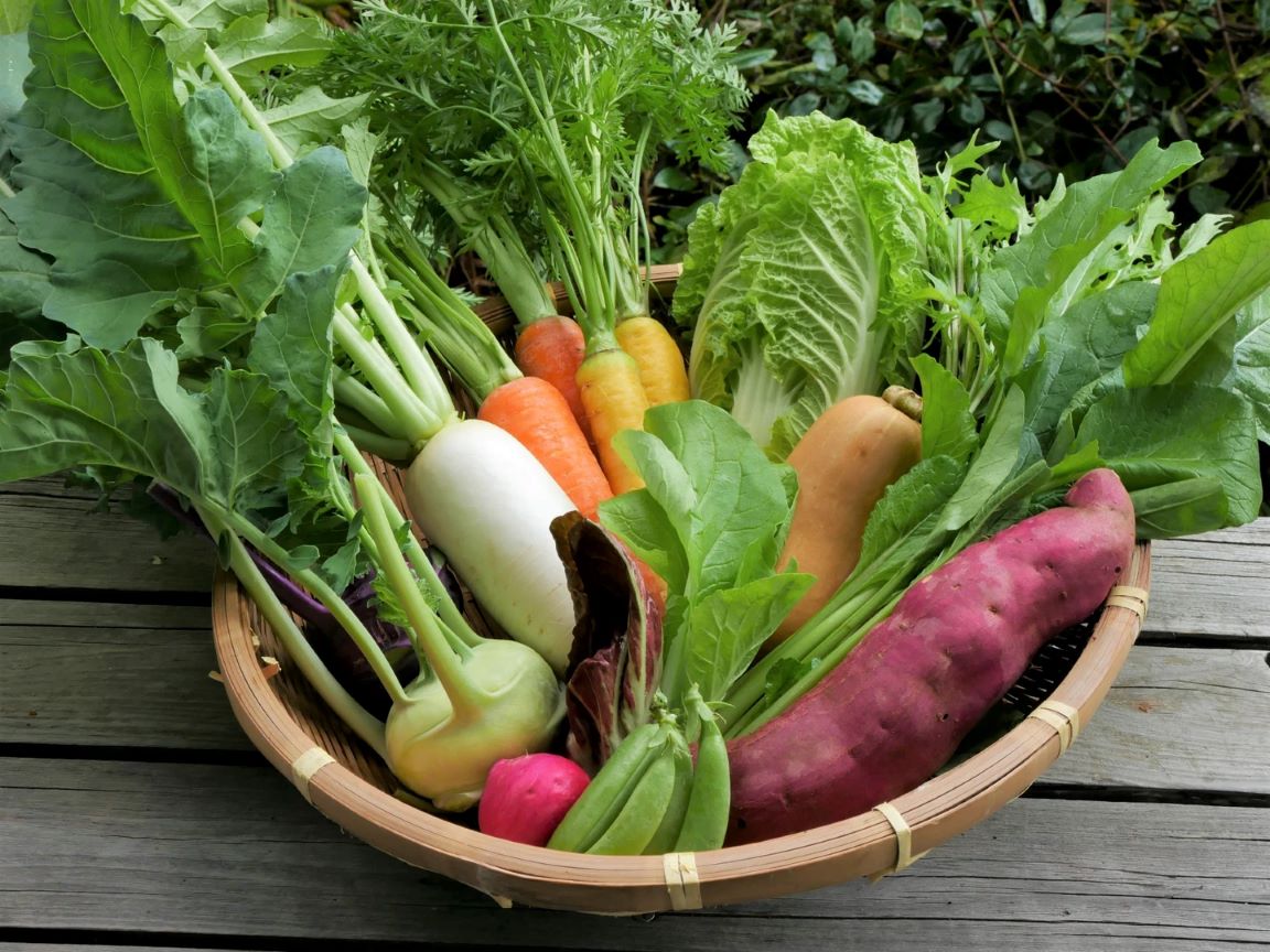 ≪wataya farm≫但馬の採れたて旬野菜詰め合わせ S【送料込】