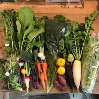 ≪岩国市錦川上流にある小さな農園≫おまかせ野菜S
