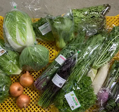 ≪唐辛子系の辛い野菜好き≫おまかせ旬野菜M