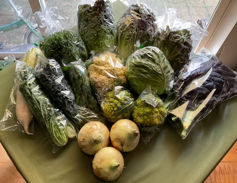 ≪唐辛子系の辛い野菜好き≫おまかせ旬野菜L