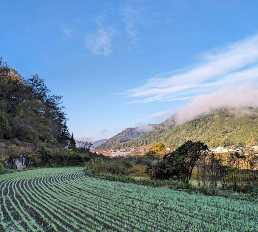 wataya farm