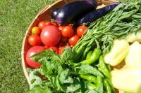 【健康を支える有機・自然栽培・農薬不使用栽培野菜の魅力について】